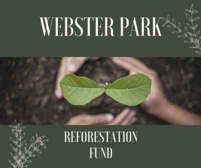 reforestation fund